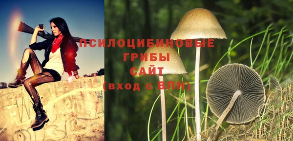 спайс Белокуриха