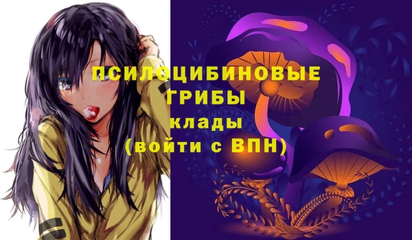 спайс Белокуриха