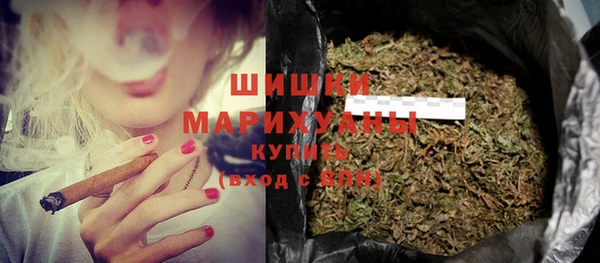 прущие грибы Беломорск