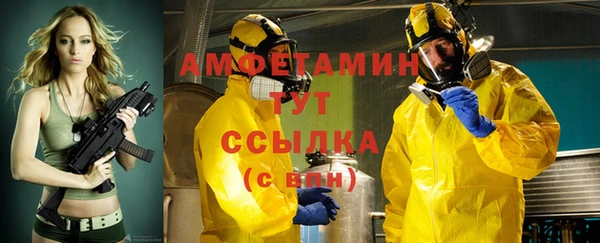 прущие грибы Беломорск