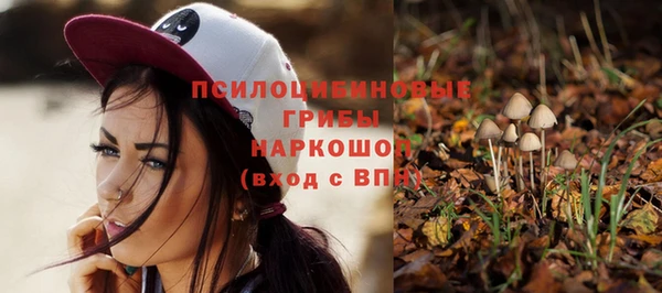 прущие грибы Беломорск