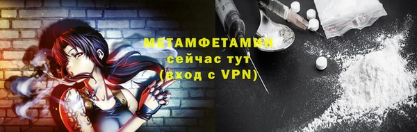 прущие грибы Беломорск